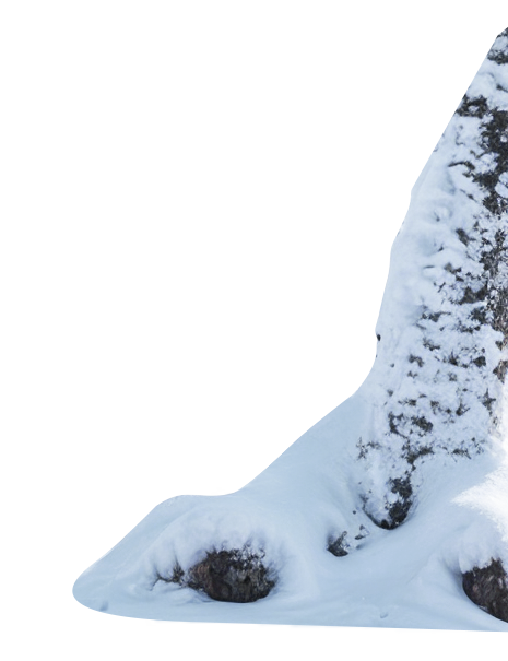 Пень на карточке мероприятия для телефона